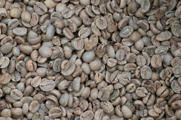 Close-up of green, unroasted coffee beans from above.