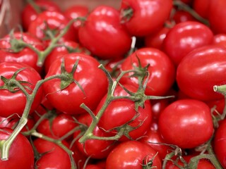 Fresh red tomatoes on a twig in containers put up for sale at a supermarket vegetable stand, demonstrates organic, vegetarian and healthy food. Close-up