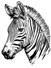 Zebra head illustration in linoleum cut style featuring intricate details on transparent background