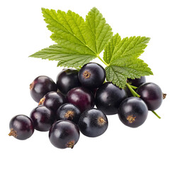 blackcurrants with leaf isolated on white background