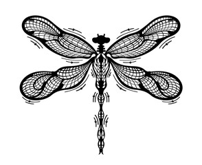 Elegant black and white Dragonfly Art  insect illustration 