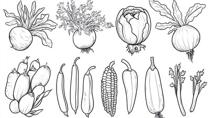 Hand-drawn illustration of various vegetables