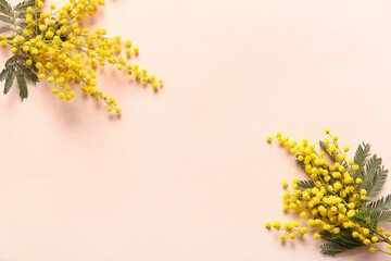Beautiful yellow mimosa flowers on beige background