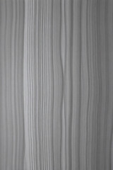 Obraz premium textura de madera de roble gris