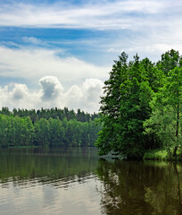 Calm lake with a tree in the background