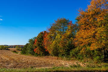 Colorful Wisconsin forest and farmland in early October