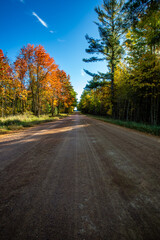 Colorful Wisconsin forest on a gravel road with blue sky in early October