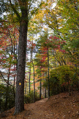 Fall scenery along a trail in Unicoi State Park near Helen, Georgia