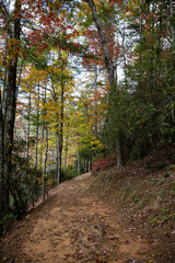 Fototapeta premium Fall scenery along a trail in Unicoi State Park near Helen, Georgia