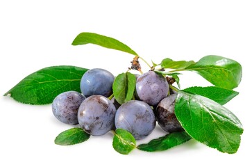 plums with leaves