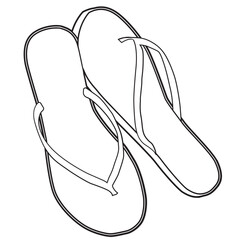 Pair of flip flops vector