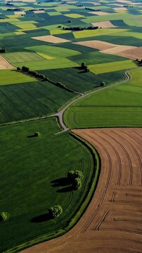 Aerial glide over vibrant patchwork of rolling farmland at golden hour