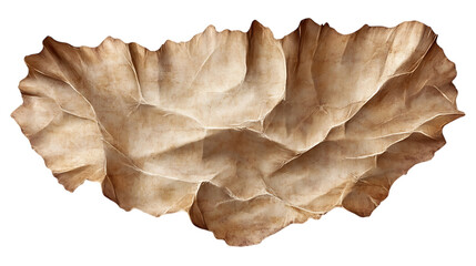 Crinkled brown paper texture with scalloped edges, providing a rustic and vintage appearance, ideal for use in design or crafting projects. Isolated on transparent background.