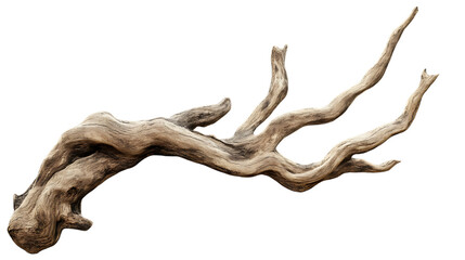 Dry wooden branch with detailed texture showcasing realistic and organic design, ideal for natural themed projects. Isolated on transparent background.