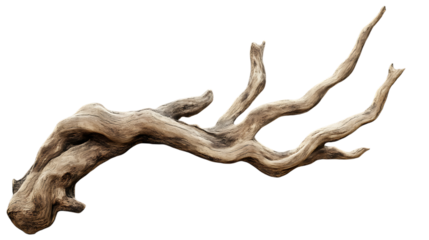Dry wooden branch with detailed texture showcasing realistic and organic design, ideal for natural themed projects. Isolated on transparent background.