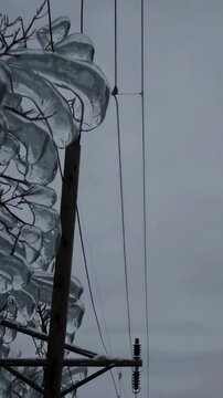 Icy power lines slant under winter weight in overcast landscape