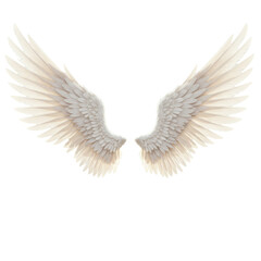Naklejka premium Angle wings cutout, open wings, white wings