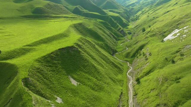 Drone shot of Maltas Canyon, Dagestan, highlighting lush mountains, alpine trees, sunlight, and a winding mountain river with cloud shadows over the terrain.