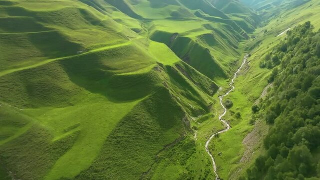 Scenic aerial view of Maltas Canyon, Dagestan, with greenery-covered mountains, alpine trees, sunlight filtering through, and drifting cloud shadows.