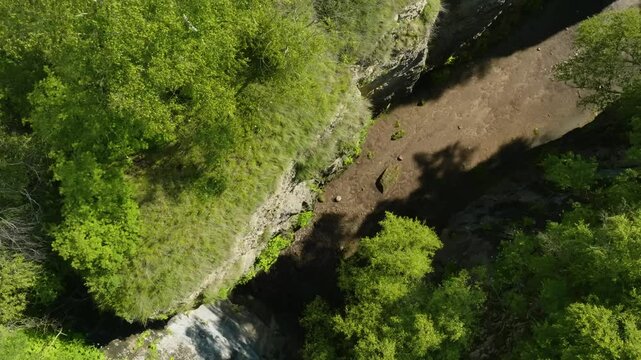 Breathtaking drone footage of Maltas Canyon, Dagestan, featuring vibrant greenery, towering alpine trees, a meandering mountain river, and cloud shadows.