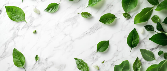 Fresh green spring leaves scattered on a white marble background, top view with copy space