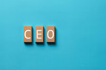 There is wood block with the word CEO. It is an abbreviation for Chief Executive Officer as...