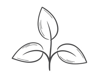 Plant sprout with three leaves line illustration. Spring, planting and nature design element. Isolated vector image