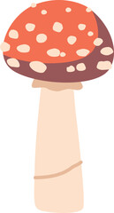 Autumn forest fly agaric mushroom