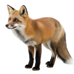 Fototapeta premium Cross Fox AI Generated Image