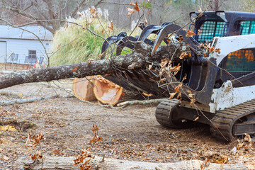 Skid steer loader transports large tree trunk, clearing yard debris in suburban setting during...