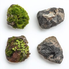various four set drop Green moss with dirt, soil and decorative stone, rock isolated on white with no shadows