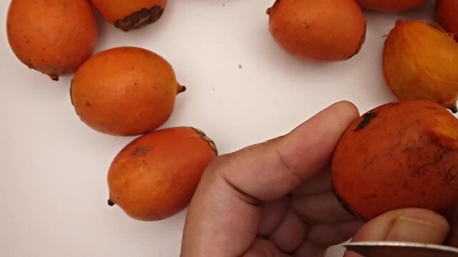 Hand Peeling Awara fruit, Astrocaryum Vulgare, Tucuma with Knife. Close up View of Fleshy Awara from Top.