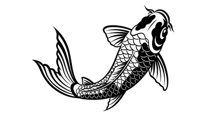 Fototapeta premium Swimming Koi Fish Illustration in Black and White Detailed Graphic Style