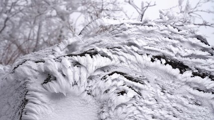 Winter snow flower scenery of Gajisan Mountain in Korea