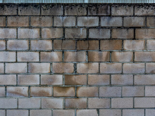 Risse und Feuchtigkeit an einer Mauer