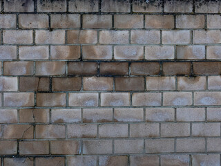 Risse und Feuchtigkeit an einer Mauer