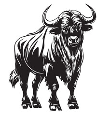 vector illustration of a bull