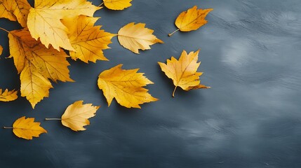 Yellow fall leaves on blue background, autumn vibes