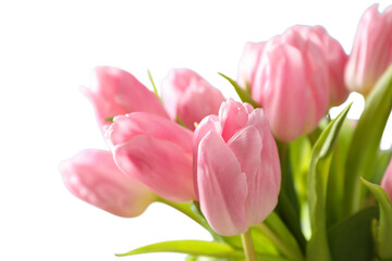 8 March, International Women's Day, bouquet of pink tulips, close up, isolated on white background, PNG