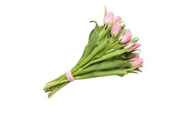8 March, International Women's Day, bouquet of pink tulips, top view, isolated on white background, PNG