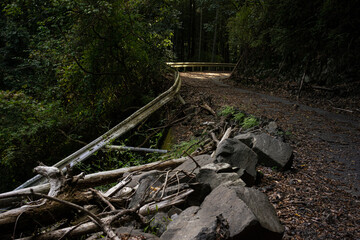 土砂崩れして通行止めになった道