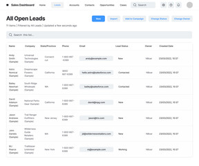 Sales CRM Platform, Leads Dashboard, Salesforce B2B Web App, Revenue Growth System UI Kit Template