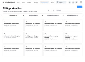 Sales CRM Platform, Leads Dashboard, Salesforce B2B Web App, Revenue Growth System UI Kit Template