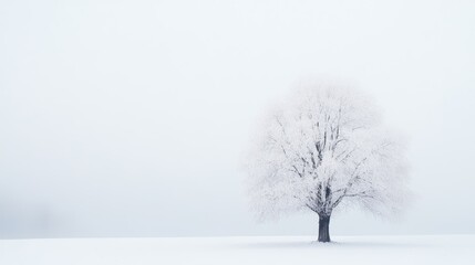 Solitary Frosty Tree in Winter Wonderland