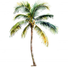 A tall palm tree with lush, green fronds and a slender trunk.