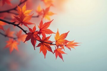 A delicate maple branch against a soft and clean white, leaves, tree
