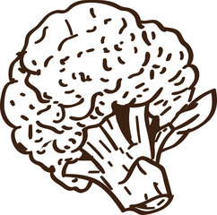Broccoli simple sketch illustration 