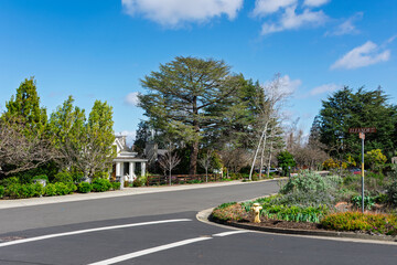 A quiet suburban intersection with curved road markings, lush vegetation, and tall trees framing a single-story home in the background in Los Altos, California