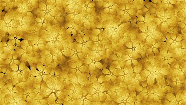 一斉に開く金色の桜の花のアニメーション 2回 黒背景