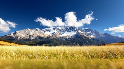 Obraz premium Majestic Snow Capped Mountains Grassland Landscape Scenic View